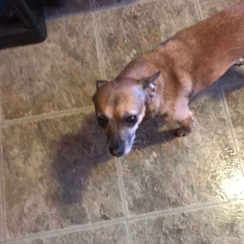 Meet your Posher, Sharon